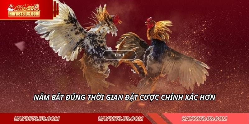 Nắm bắt đúng thời gian đặt cược chính xác hơn