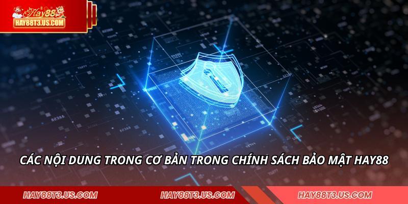 Các nội dung trong cơ bản trong chính sách bảo mật HAY88