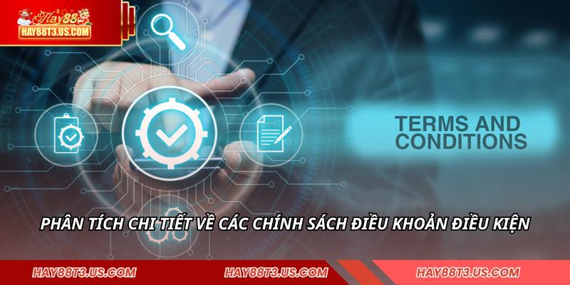 Phân tích chi tiết về các chính sách điều khoản điều kiện